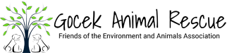 Gocek Animal Rescue Logo